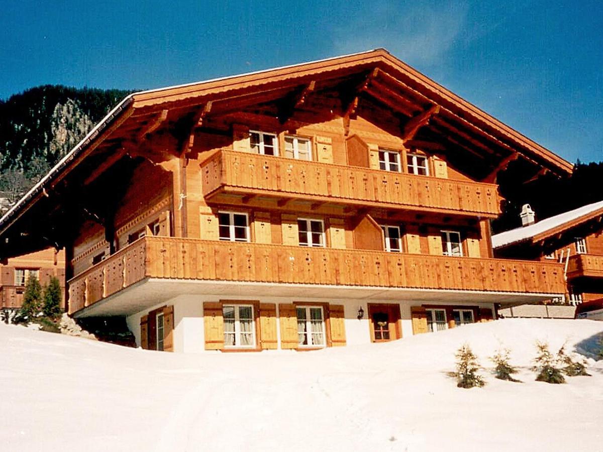 Apartment Chalet Mittelhorn-1 Grindelwald Ngoại thất bức ảnh