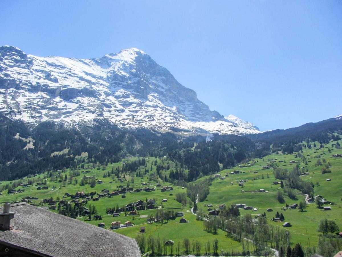 Apartment Chalet Mittelhorn-1 Grindelwald Ngoại thất bức ảnh