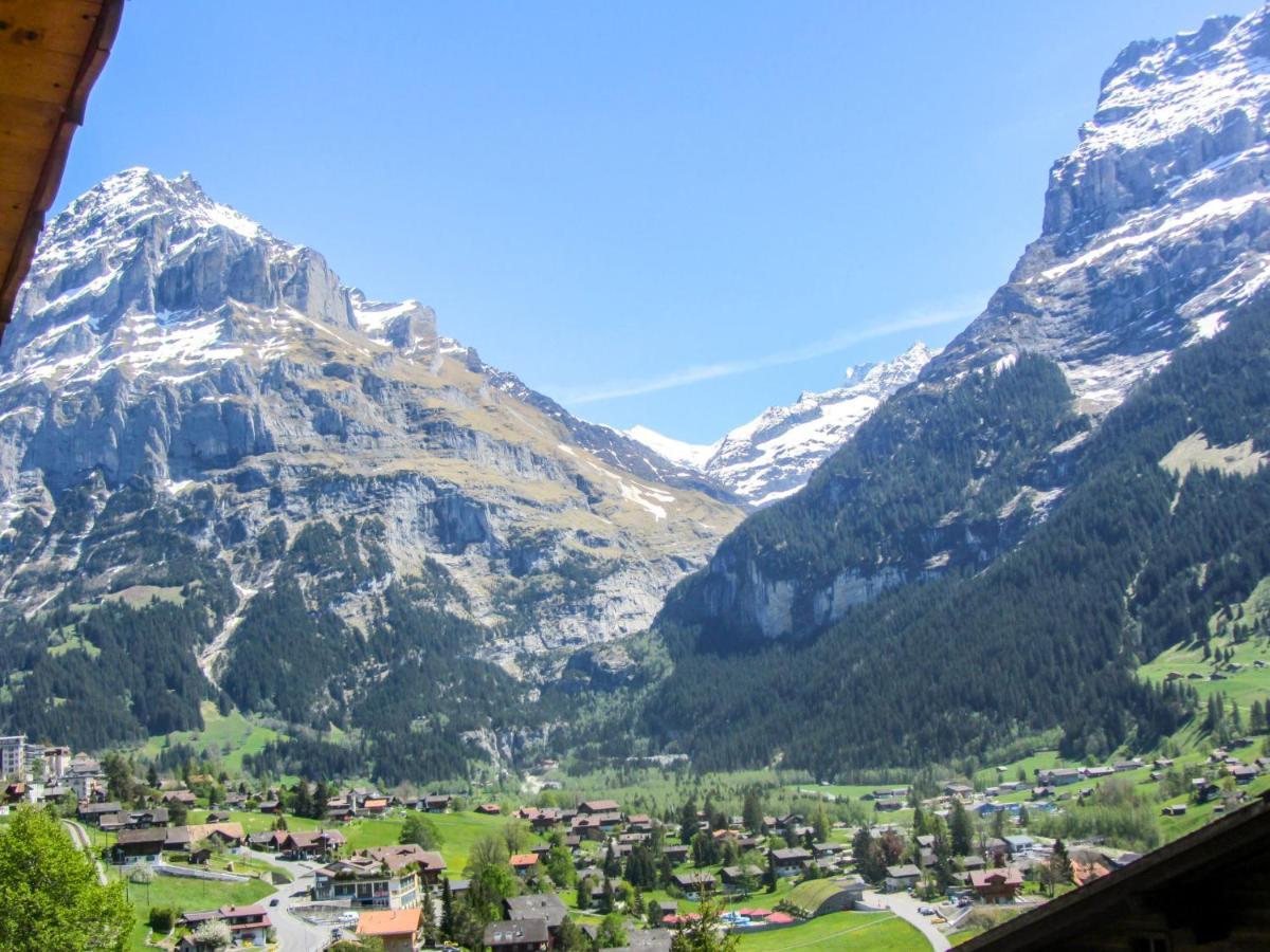Apartment Chalet Mittelhorn-1 Grindelwald Ngoại thất bức ảnh