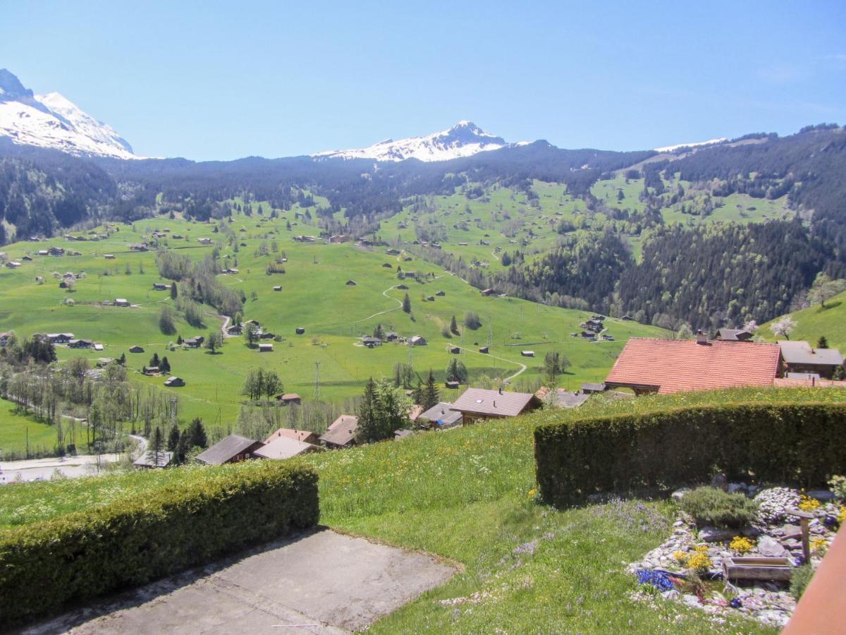 Apartment Chalet Mittelhorn-1 Grindelwald Ngoại thất bức ảnh