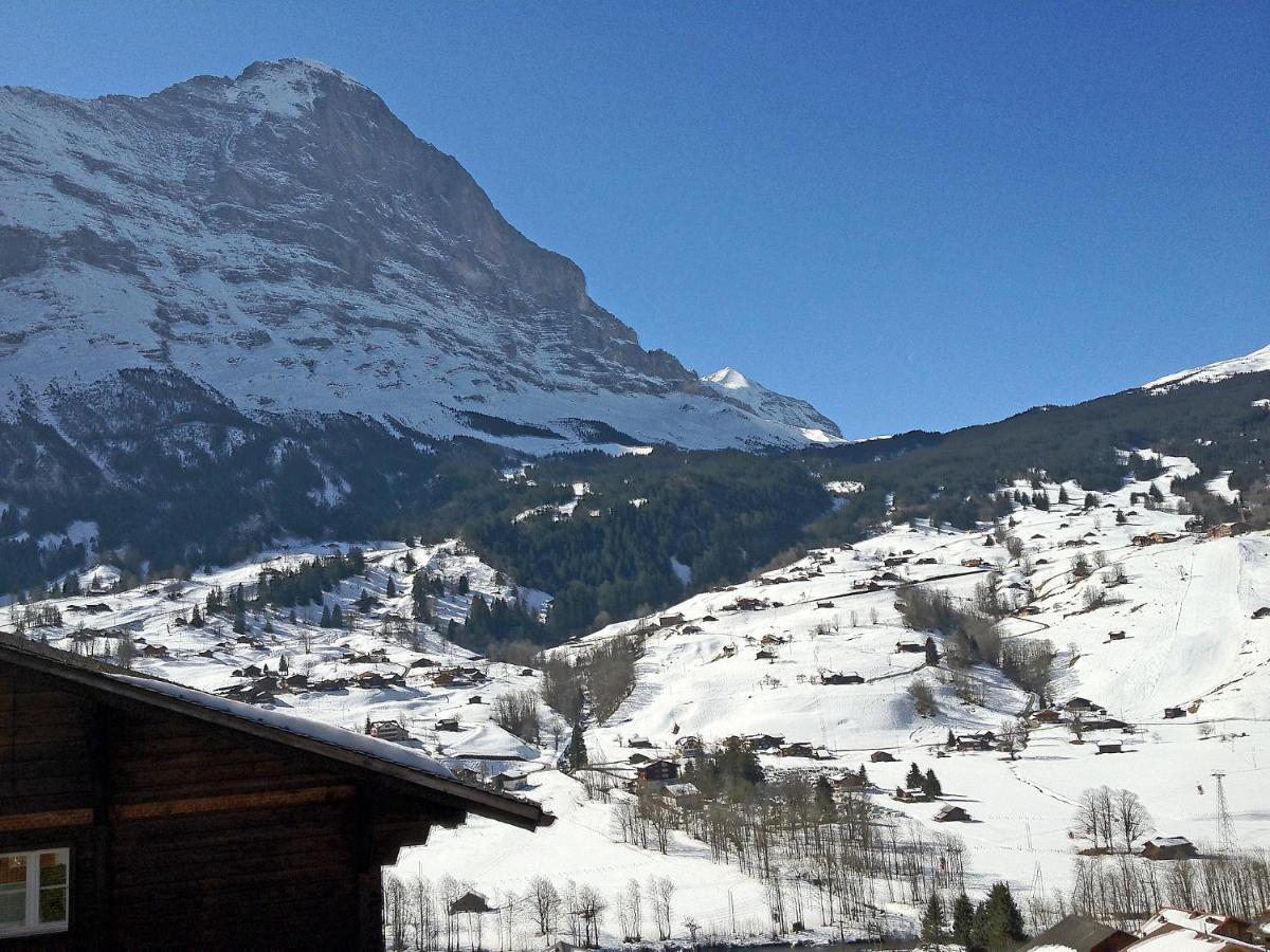 Apartment Chalet Mittelhorn-1 Grindelwald Ngoại thất bức ảnh