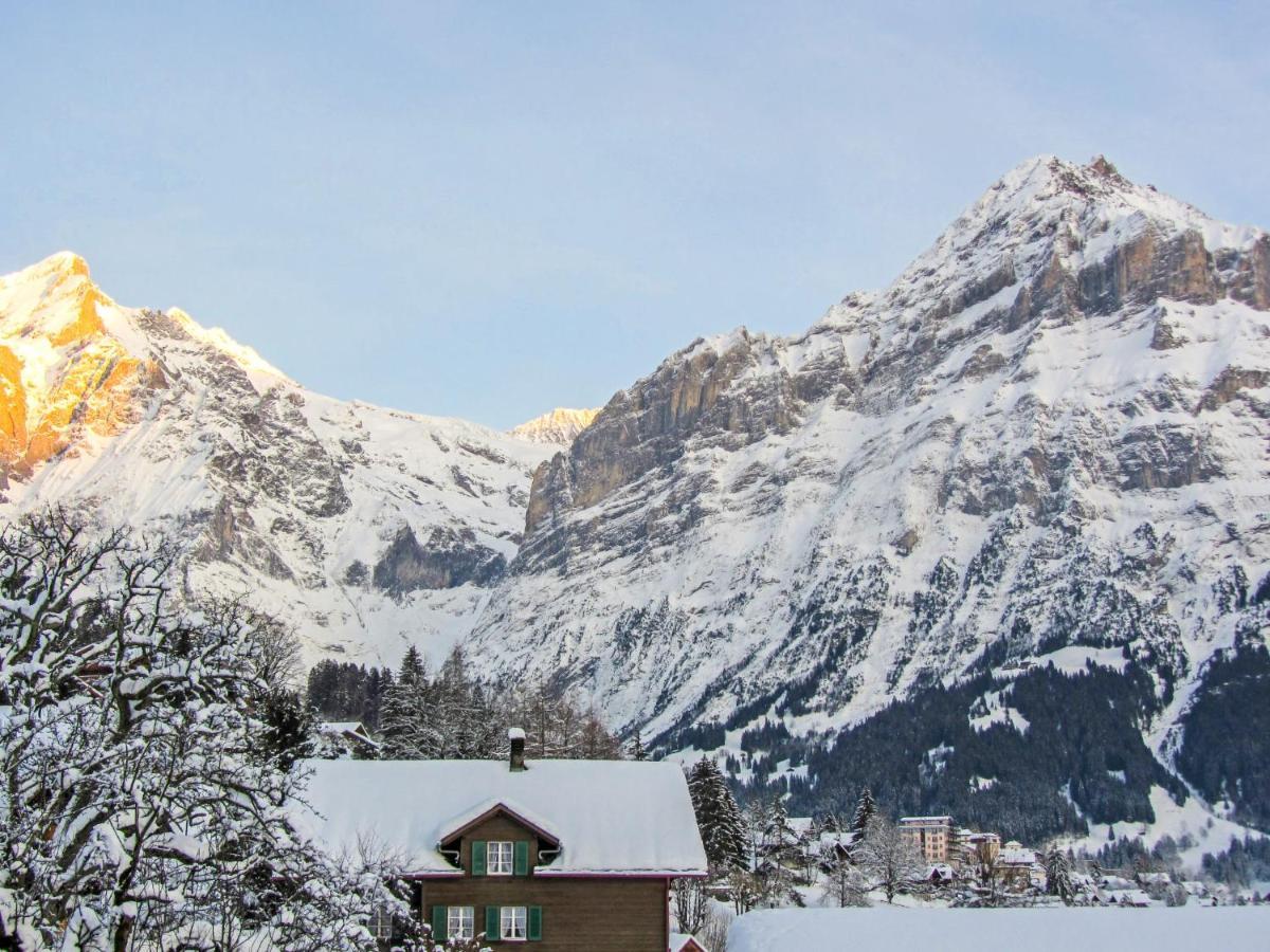 Apartment Chalet Mittelhorn-1 Grindelwald Ngoại thất bức ảnh